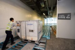 空運-運輸溫度敏感產品