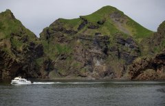 日本空運-盧森堡貨運航空成功將“小白”和“小灰”安全運抵冰島