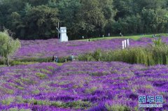 青島西海岸新區(qū)保稅物流中心（B型）通過(guò)封關(guān)驗(yàn)收-海運(yùn)費(fèi)