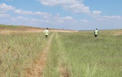 上海貨運(yùn)貨代公司-視頻：驚險(xiǎn)！印度一客機(jī)降落時(shí)偏出跑道進(jìn)入草地