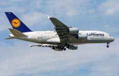 北美國際空運-民航早報：漢莎航空稱不開放卡航投資入股