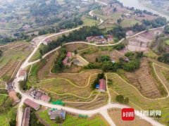 澳大利亞國際空運-瞄準國家級現代農業產業園區資陽萬畝佛山橘海將“大變臉