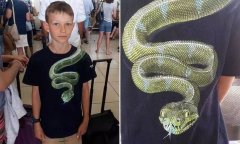 寧波海運(yùn)公司-10歲男孩衣服上有“蛇”太嚇人 機(jī)場(chǎng)安檢要求脫掉才能登機(jī)