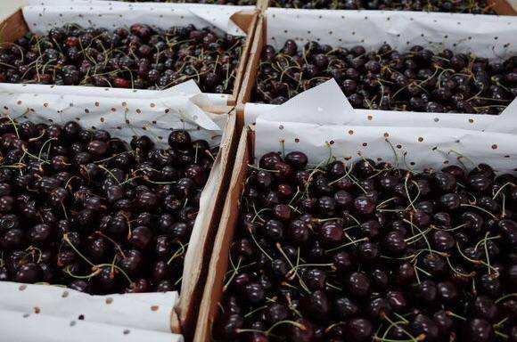 寧波海運(yùn)公司-約7700噸智利車?yán)遄又焙降譁焙侥Ｊ焦?jié)約時(shí)間和運(yùn)費(fèi)