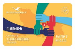 海運(yùn)費(fèi)查詢(xún)-廈航集團(tuán)推出馳援卡 民航首家為馳援湖北醫(yī)護(hù)人員提供貴賓待遇