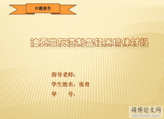 廣東貨運公司-研究生論文開題報告PPT的寫作要點(附范文)