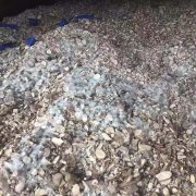 蘇黎世空運價格防損小貼士 - 海運木薯干貨物的霉變風險及應對措施