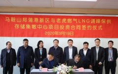 南非海運(yùn)老虎燃?xì)饽赇N(xiāo)售220萬(wàn)噸液化天然氣調(diào)峰保供存儲(chǔ)集散中心項(xiàng)目簽約落戶