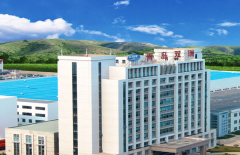 
fedex-沖破疫情封鎖！青島雙瑞喜獲日本川崎汽船31條船壓載水訂單