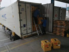 東南亞空運蛇口港，進口水果第一季度箱量增長46%——兩步申報，船邊直提，最