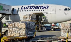 吉布提海運費漢莎拆除4架A330飛機上所有座椅，改作貨運