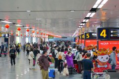 2021年春節(jié)黃金周期間
-國際海運